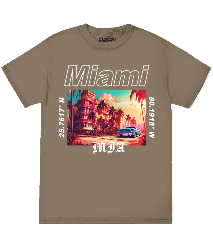 MIAMI COORDINATES