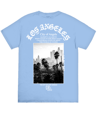 LOS ANGELES PALM TREE