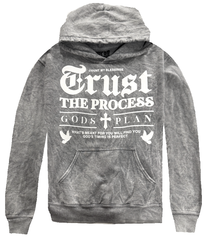 GOD'S PLAN SOFT MINERAL HOODIE