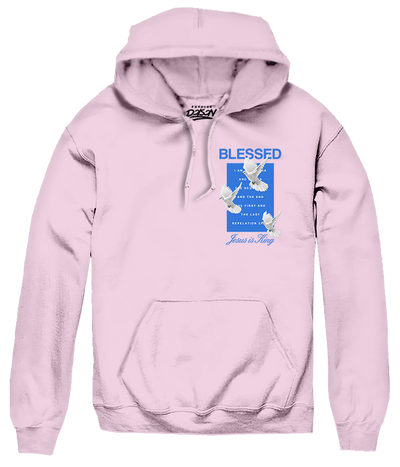 BIG SIZE BLESSED DOVES HOODIE