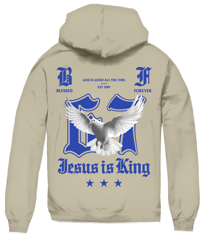 JESUS IS KING DOVE HOODIE