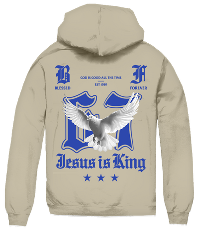 JESUS IS KING DOVE HOODIE