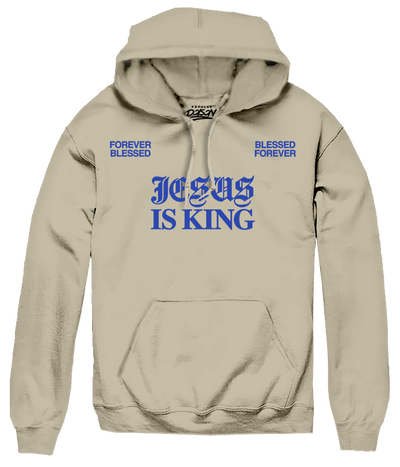JESUS IS KING DOVE HOODIE