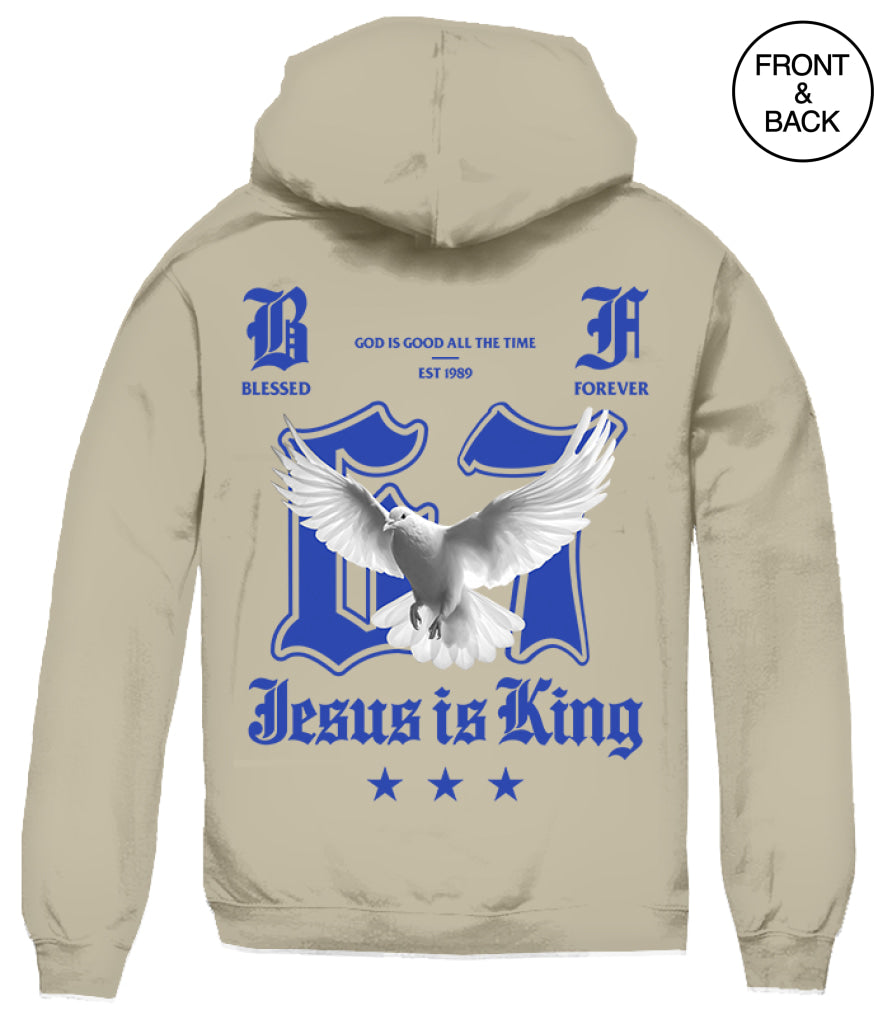 JESUS IS KING DOVE HOODIE Men’s Hoodies and Sweatshirts