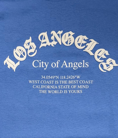 LOS ANGELES PALM TREE CITYVIEW TEE